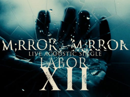 Labor XII: Mirror, Mirror Acoustic Single