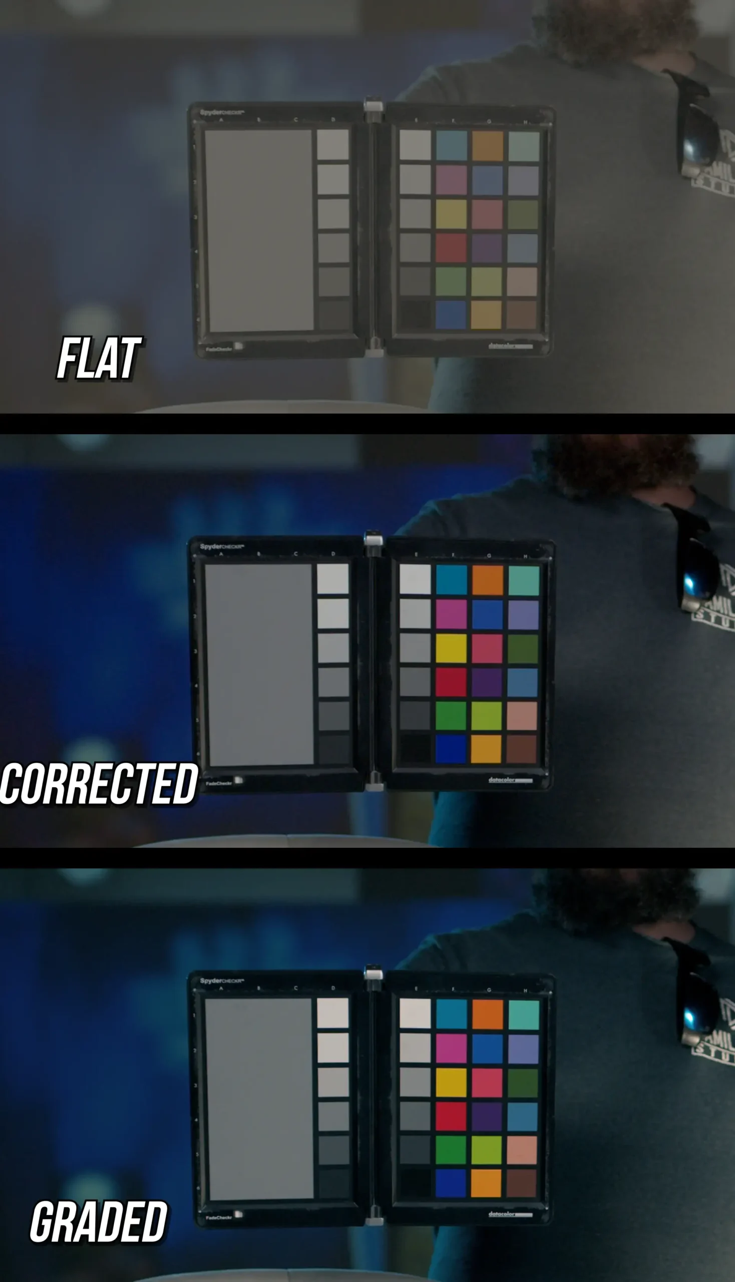 Grading Featured Image_Vertical A comparison of a flat image vs corrected vs graded